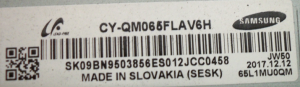 KOMPLETNE PODŚWIETLENIE MATRYCY CY-QM065FLAV6H 